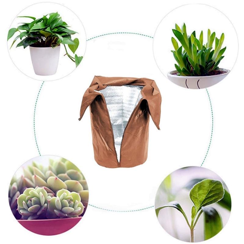 Potted Plants root cover (heighten)